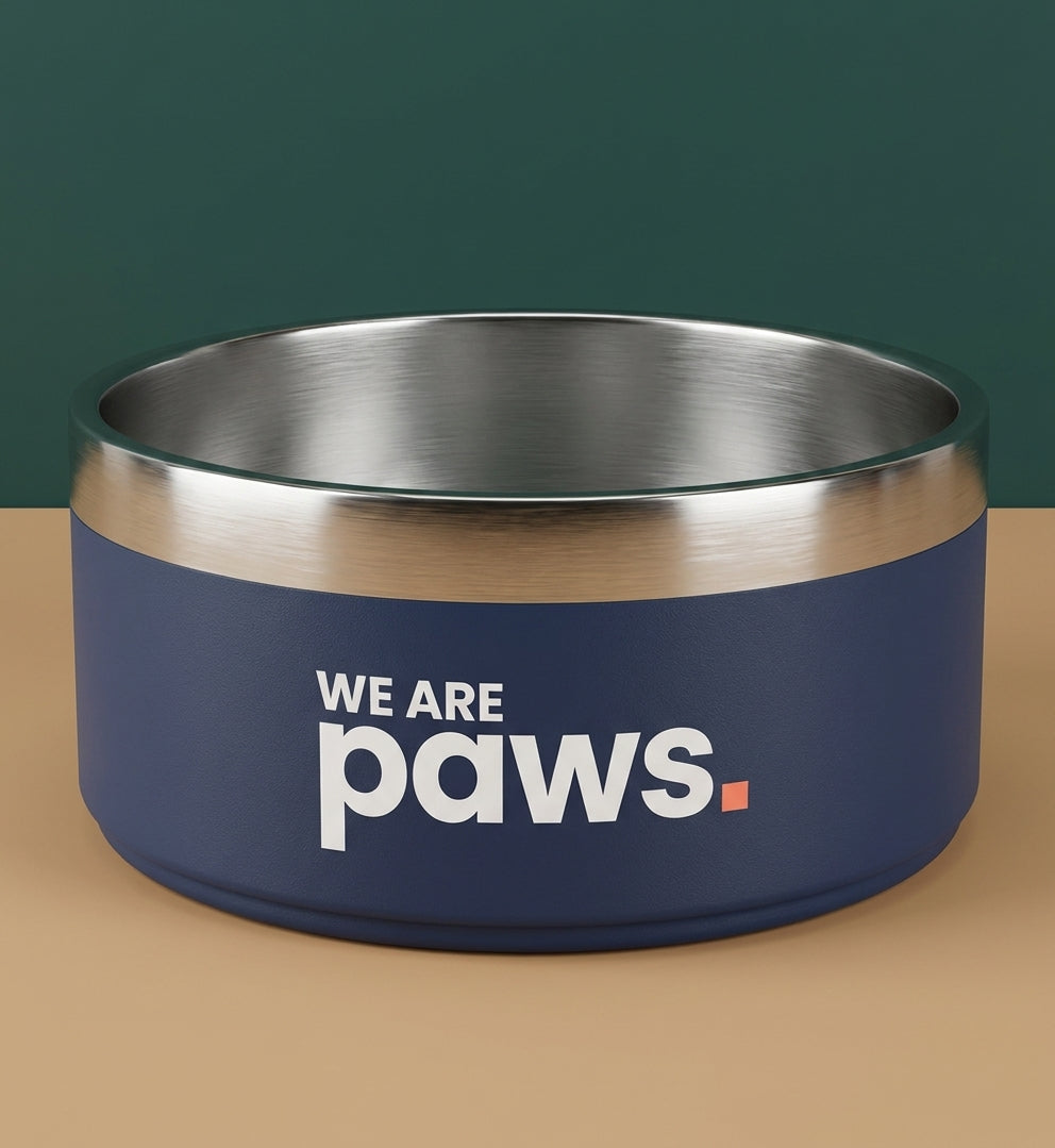 Premium Stainless Steel Bowl — image 1