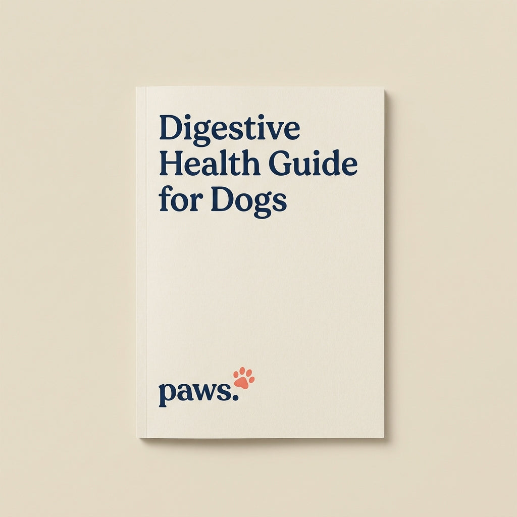 Digestive Health Guide — image 1