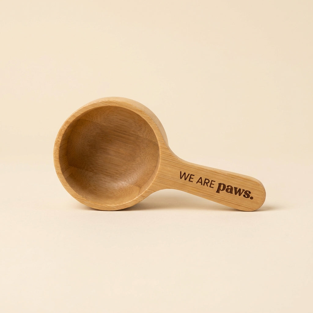 Bamboo Scoop — image 1
