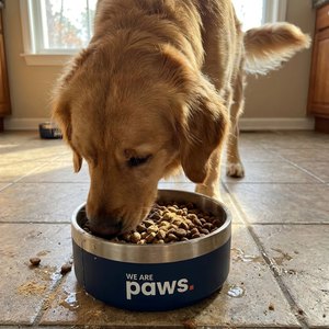 Happy customer dog