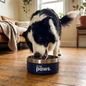 Happy customer dog